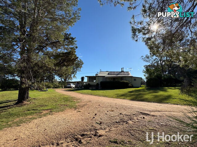 95 Copeton Dam Road INVERELL NSW 2360