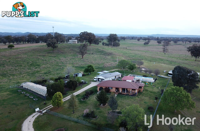 58 Muirhead Street INVERELL NSW 2360