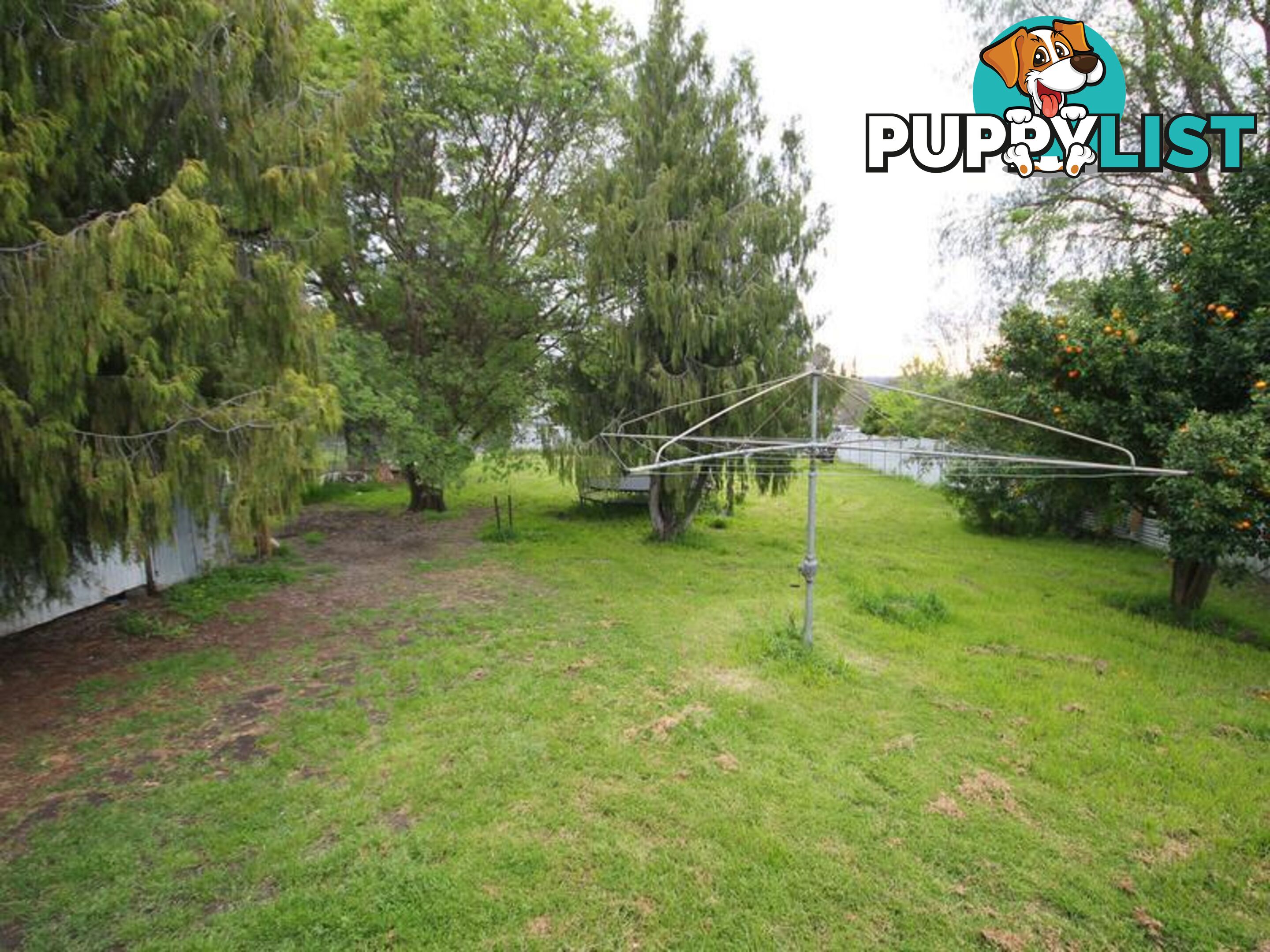 6 Mulligan Street INVERELL NSW 2360