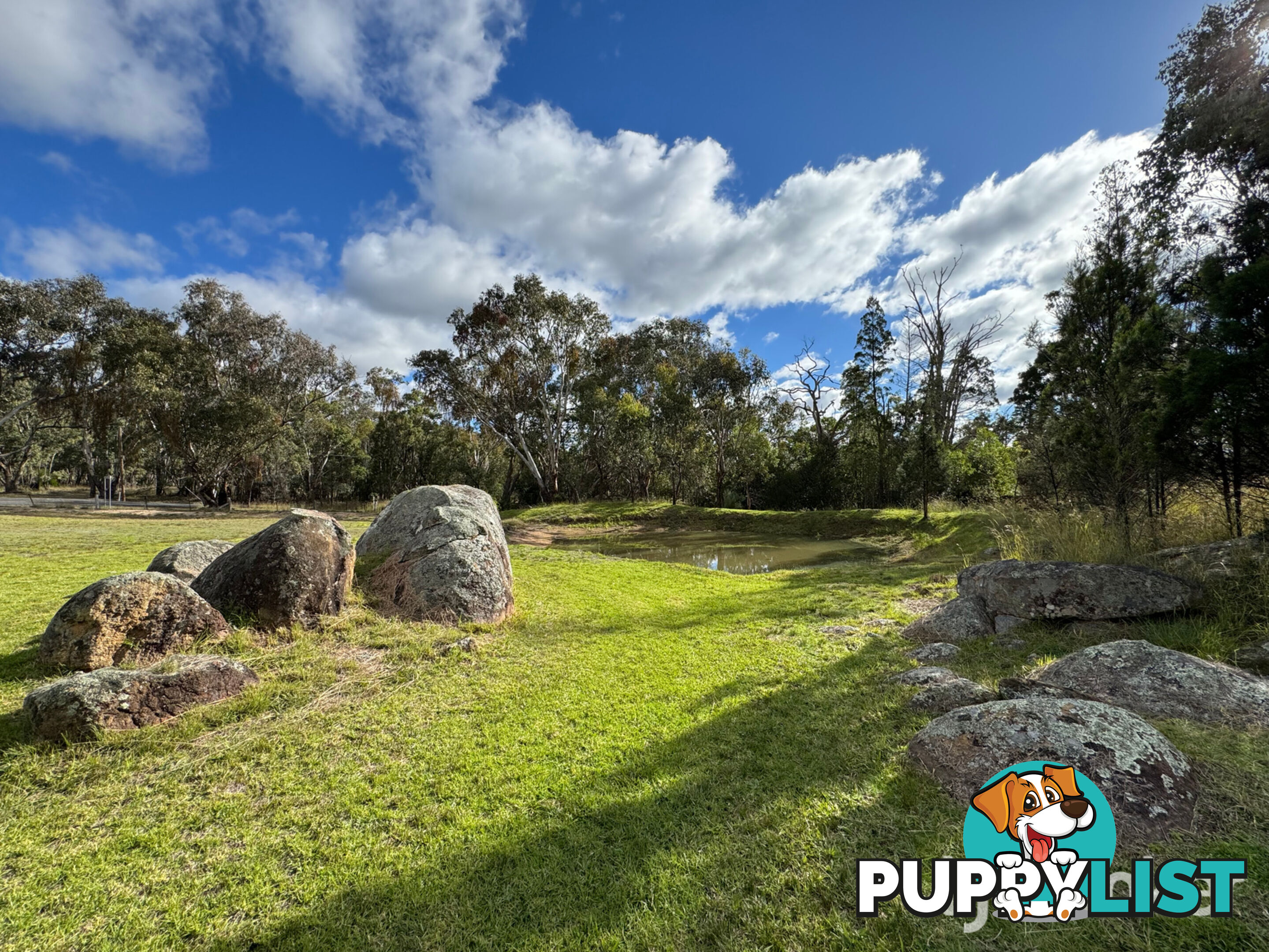 31 Goonoowigall Road INVERELL NSW 2360