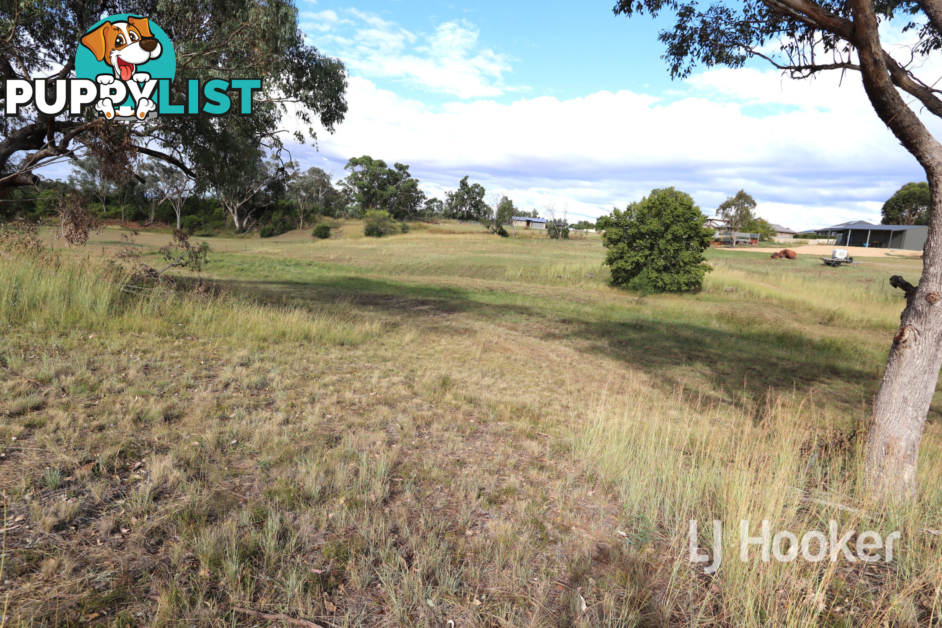 15 Oakland Lane INVERELL NSW 2360