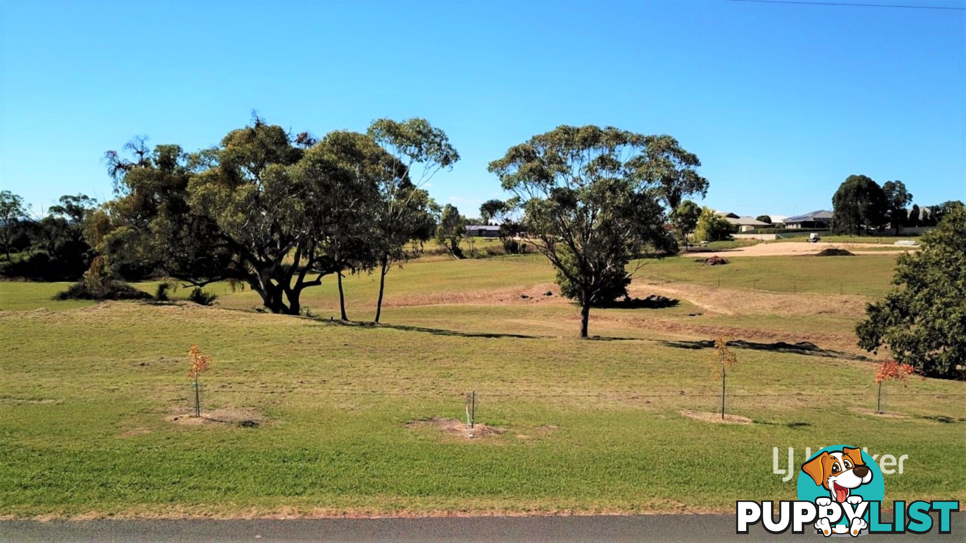 15 Oakland Lane INVERELL NSW 2360