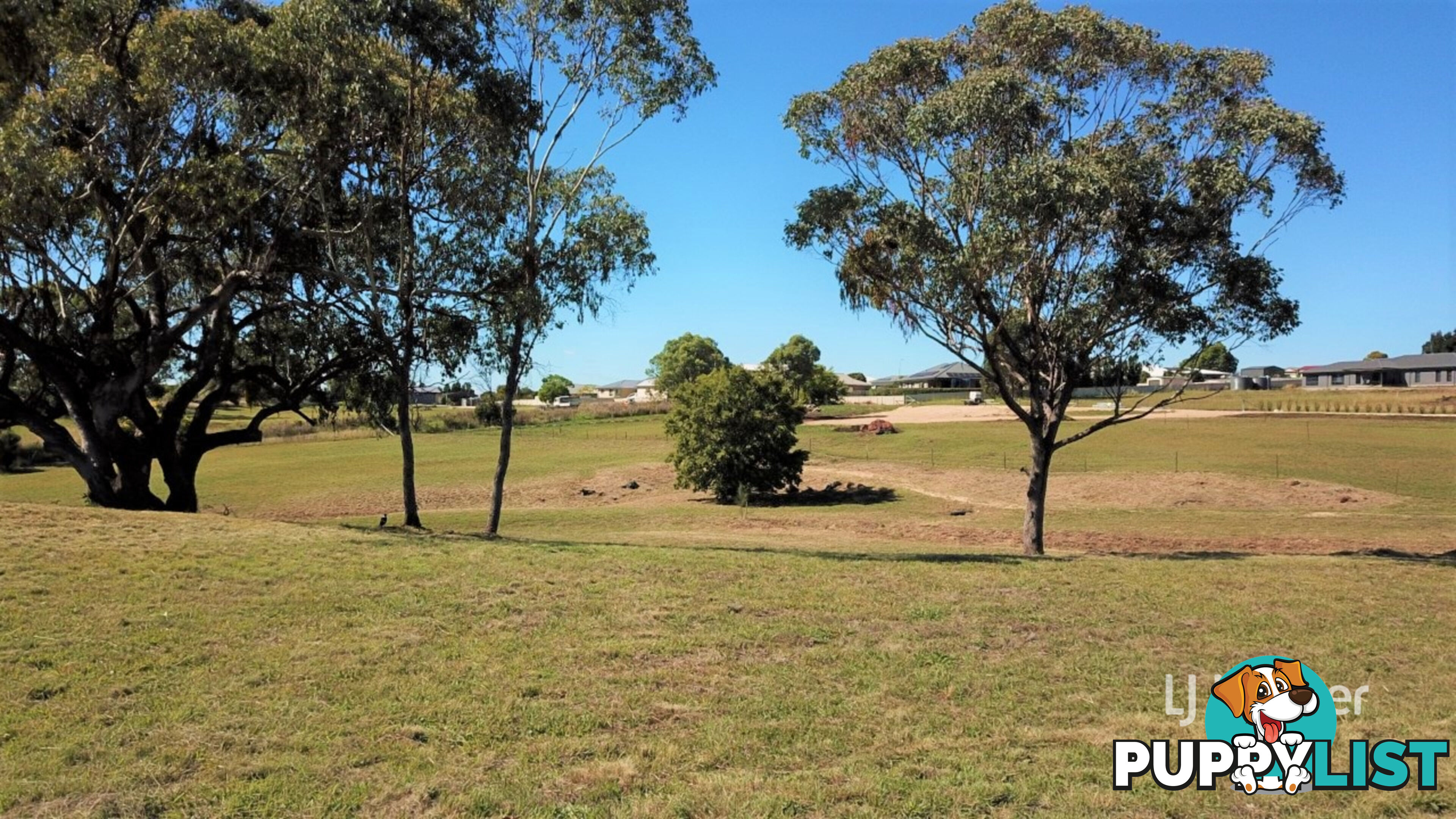 15 Oakland Lane INVERELL NSW 2360