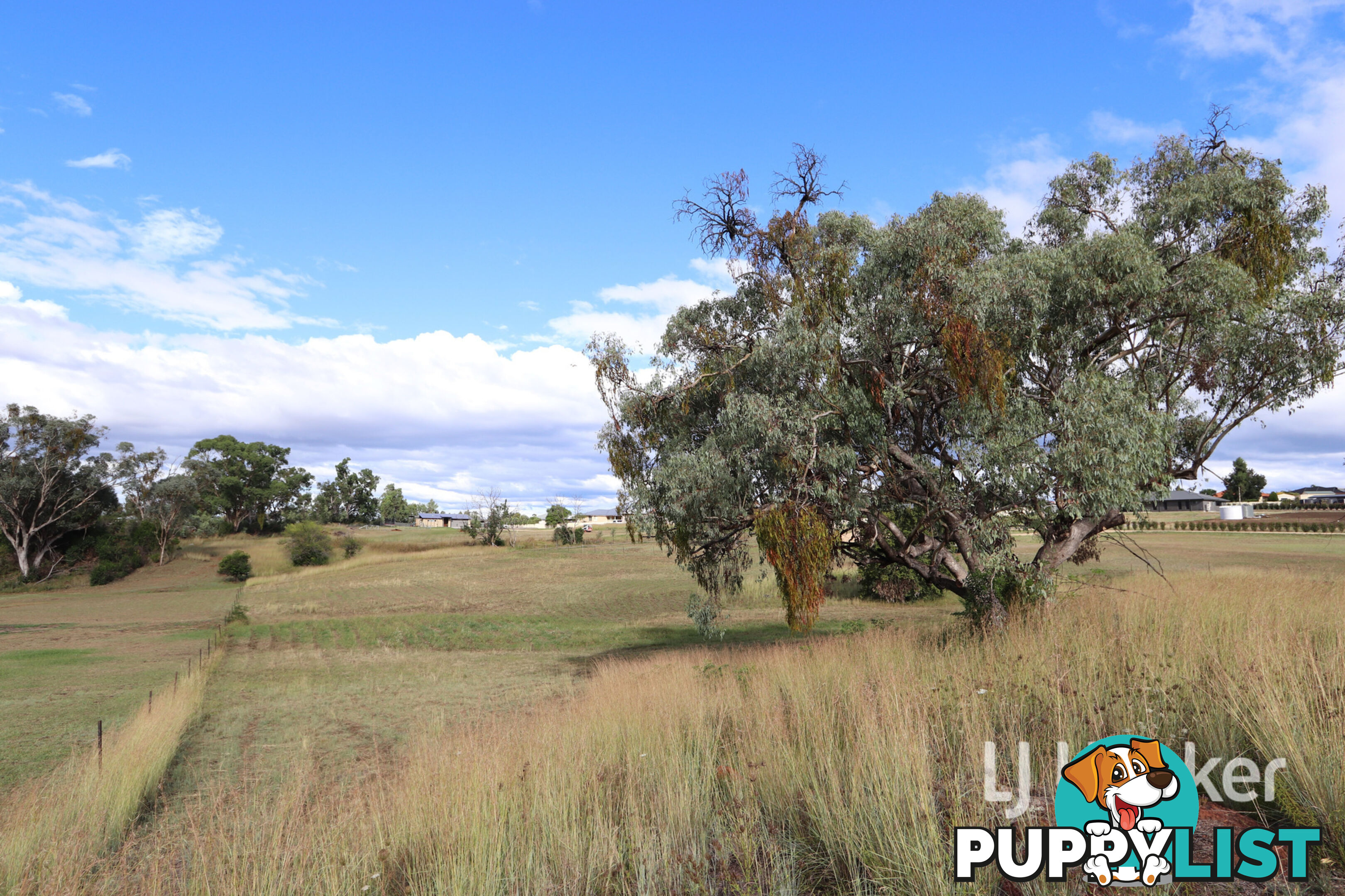 15 Oakland Lane INVERELL NSW 2360