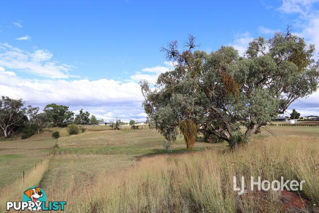 15 Oakland Lane INVERELL NSW 2360