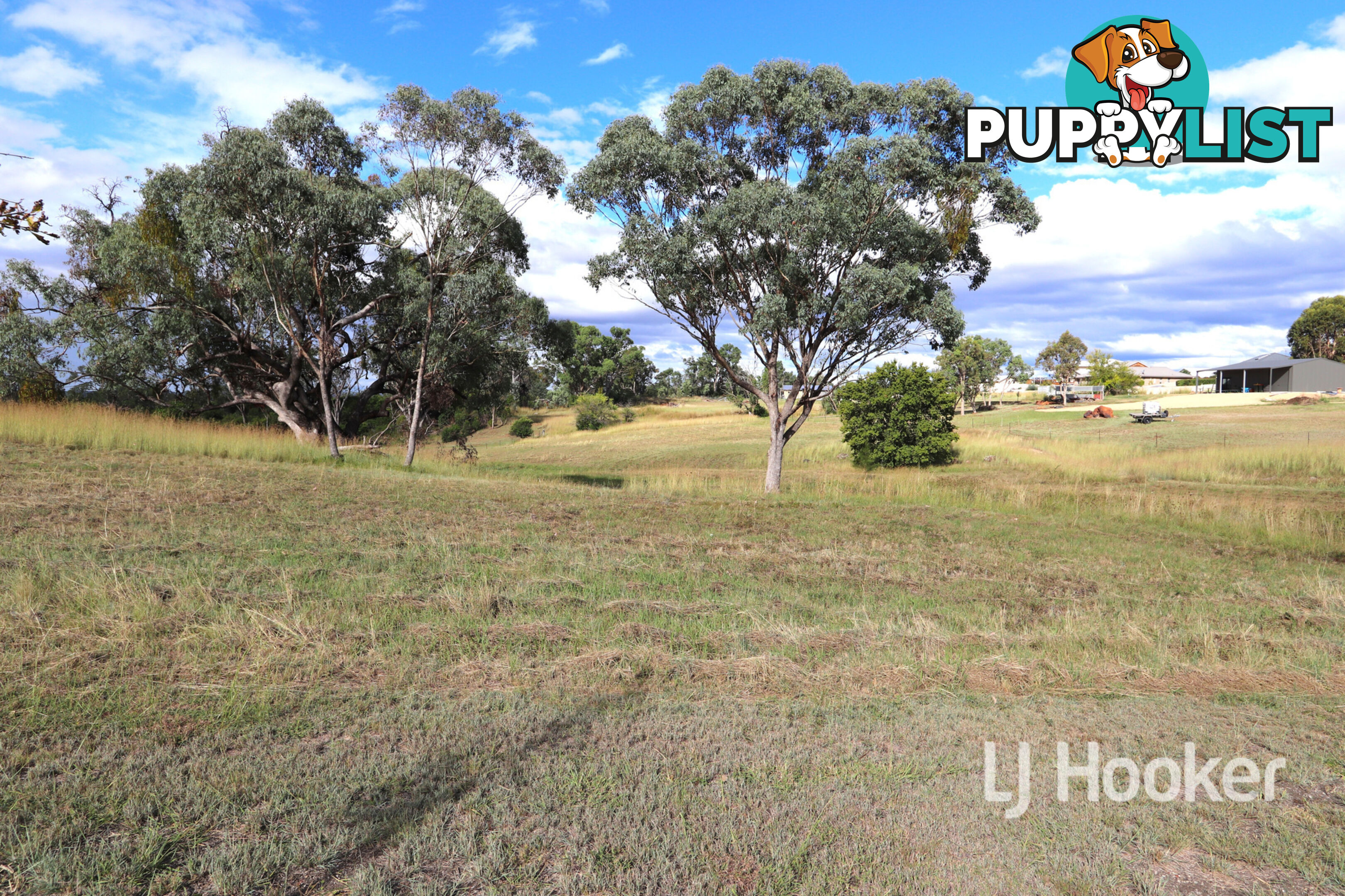 15 Oakland Lane INVERELL NSW 2360