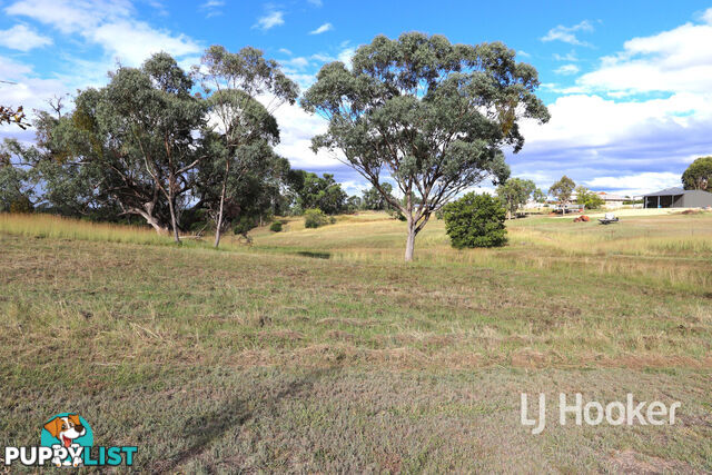 15 Oakland Lane INVERELL NSW 2360