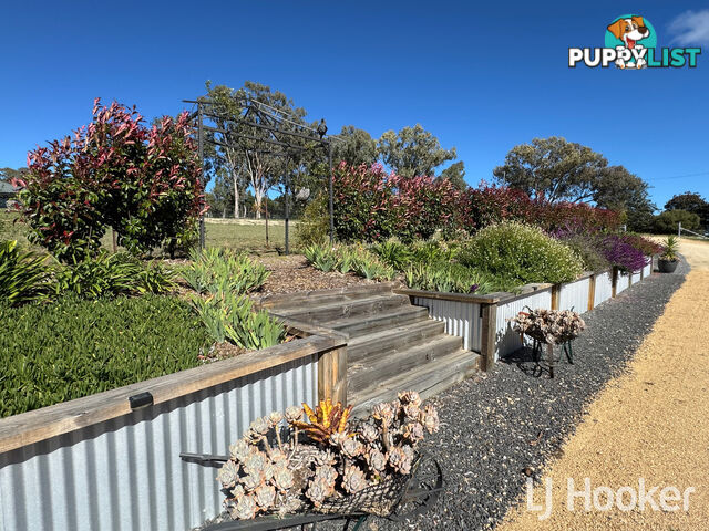 545 Old Bundarra Road INVERELL NSW 2360