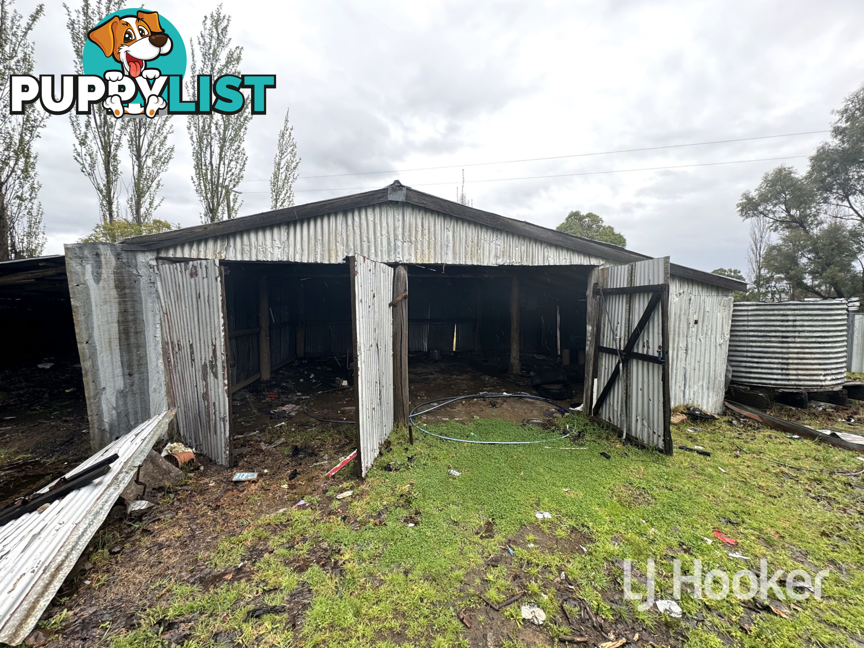 5 Museum Street TINGHA NSW 2369