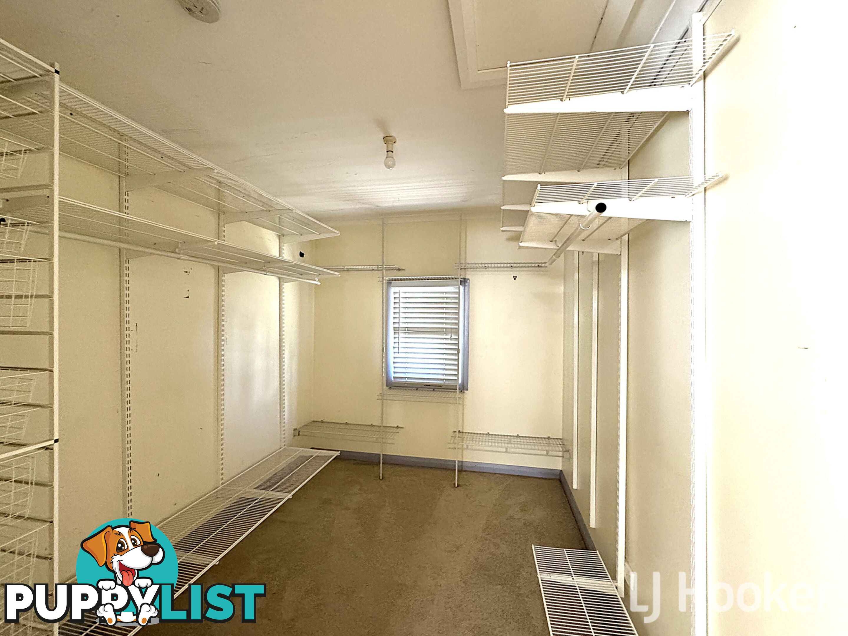 48 Brae Street INVERELL NSW 2360