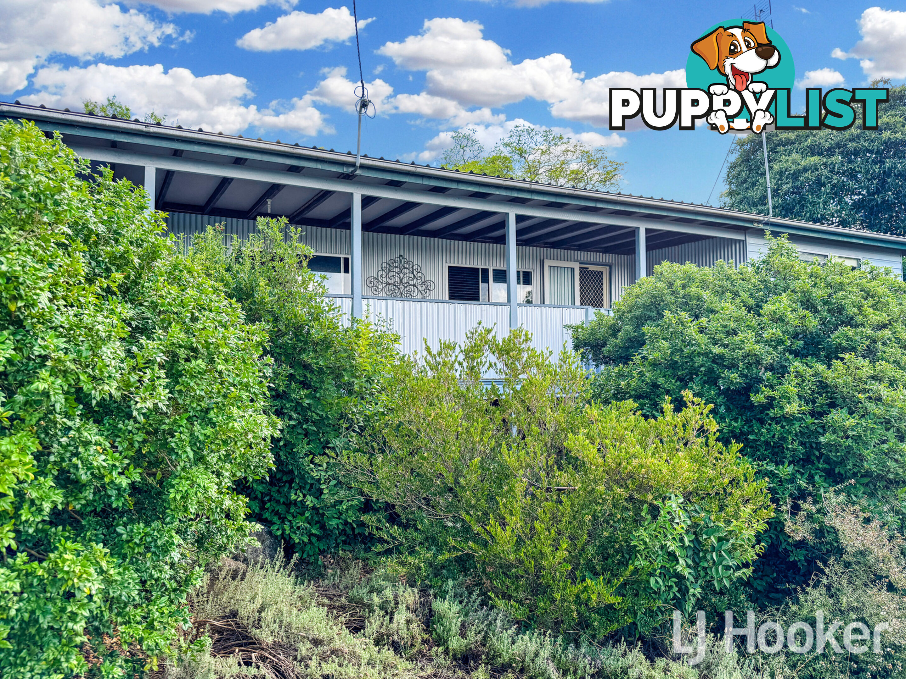 221 Copeton Dam Road INVERELL NSW 2360