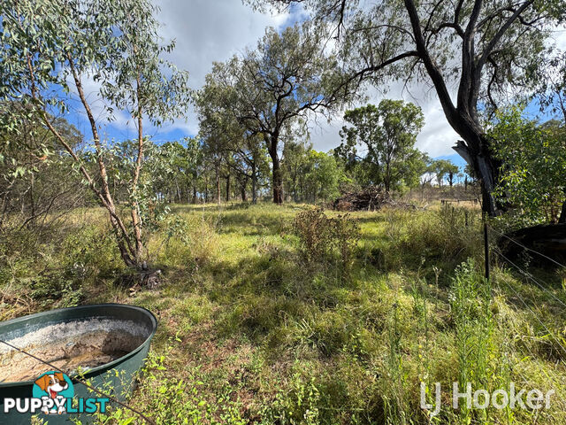 221 Copeton Dam Road INVERELL NSW 2360