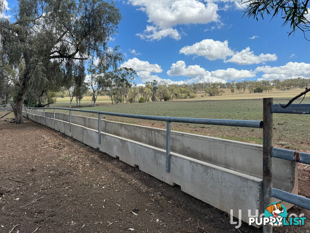 Yetman Road INVERELL NSW 2360