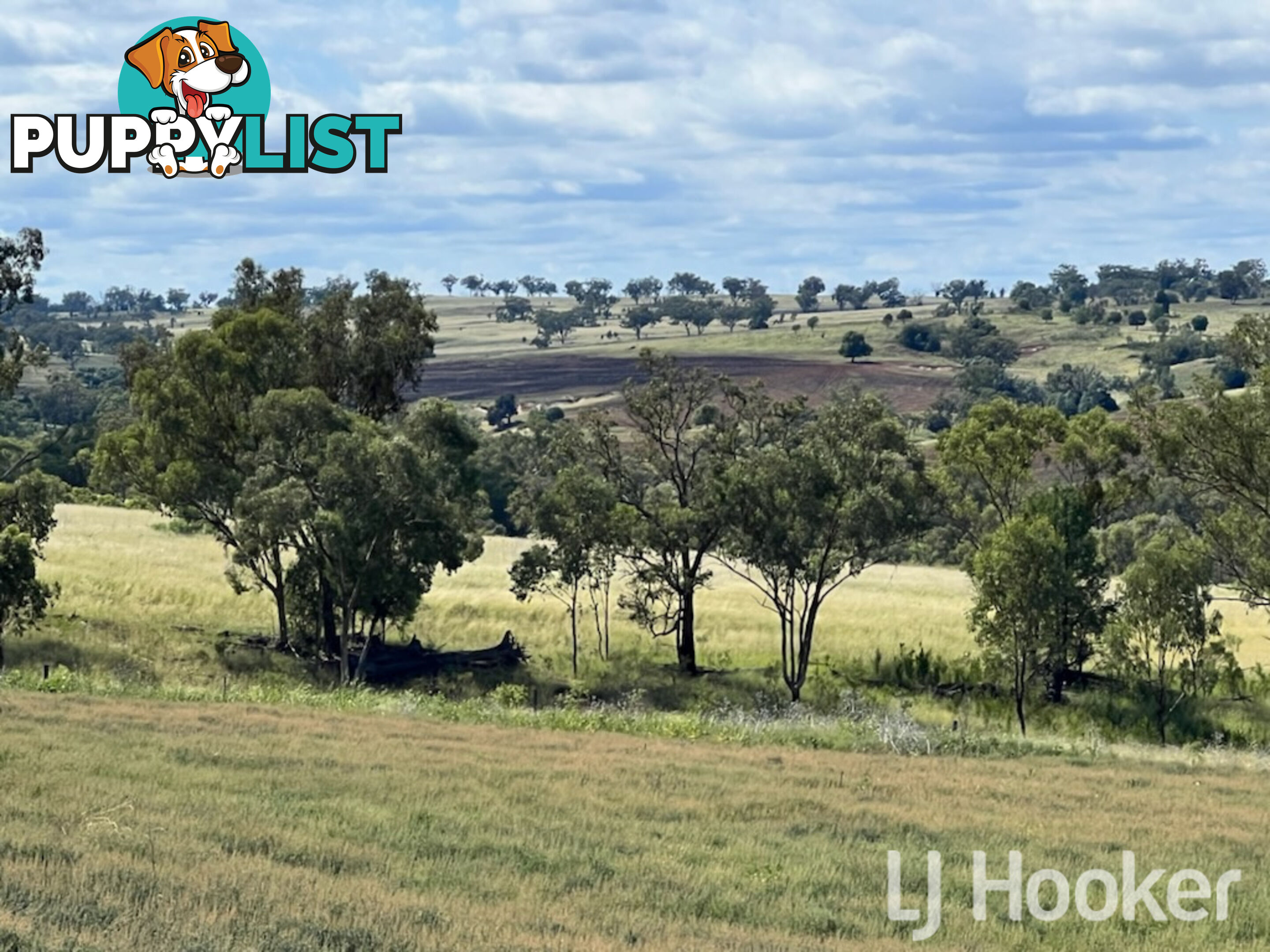 Yetman Road INVERELL NSW 2360