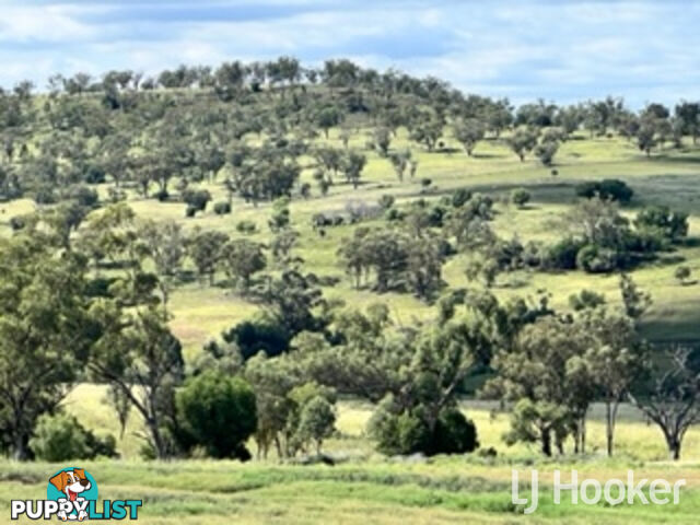 Yetman Road INVERELL NSW 2360