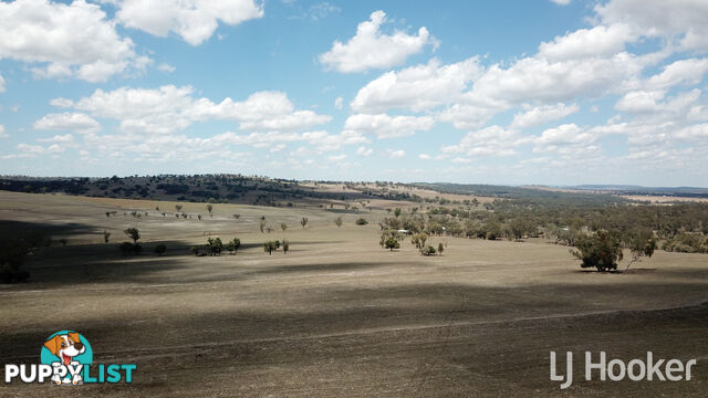 Yetman Road INVERELL NSW 2360