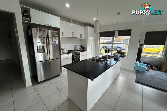 8a Charles Lester Place Mudgee NSW 2850