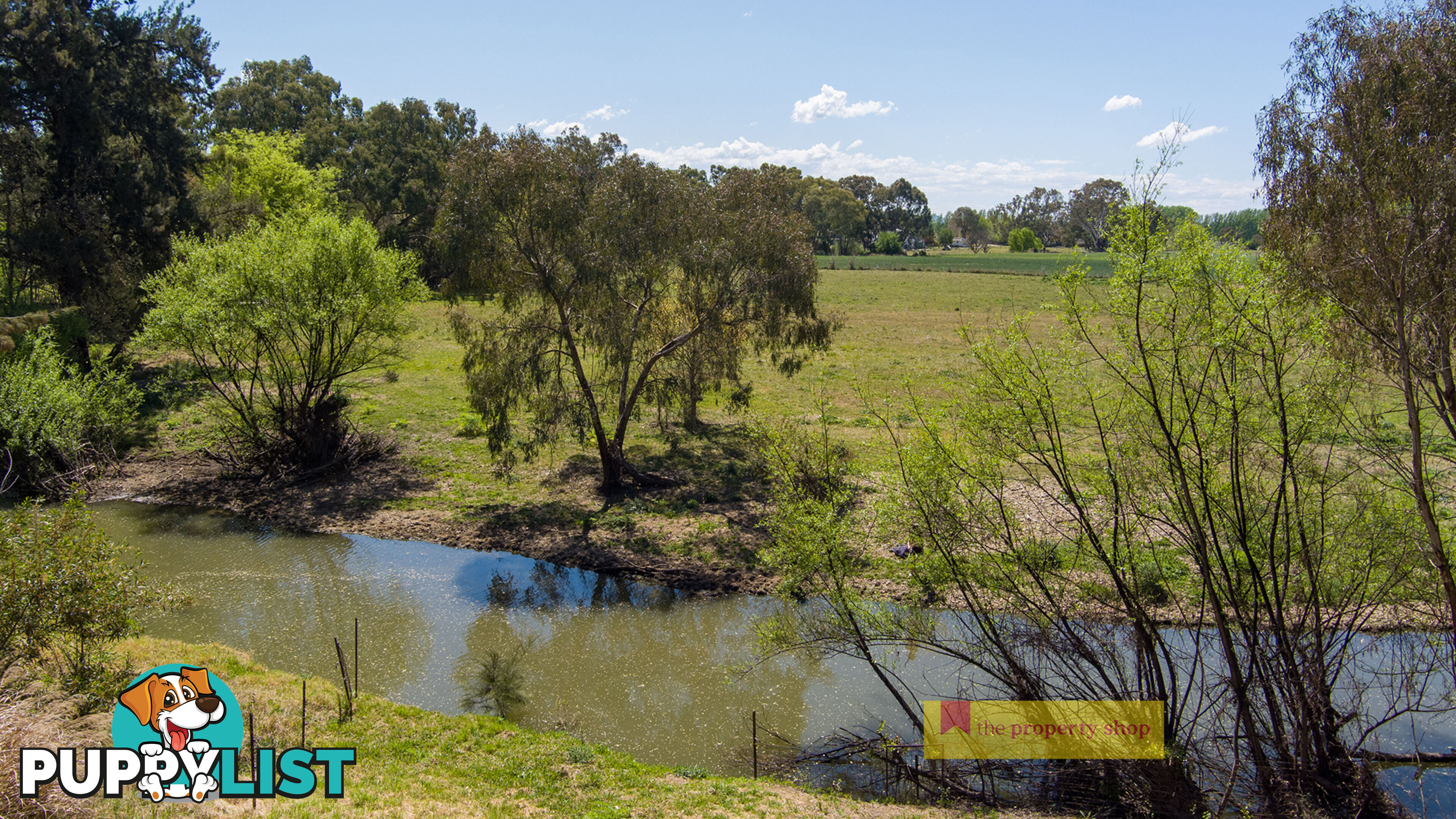 11 Mulgoa Way Mudgee NSW 2850