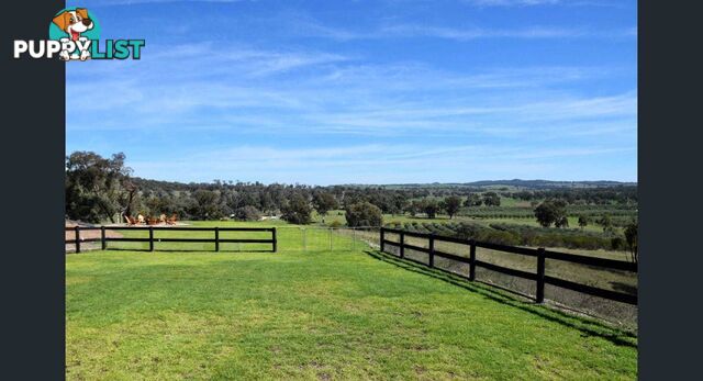 Mudgee NSW 2850