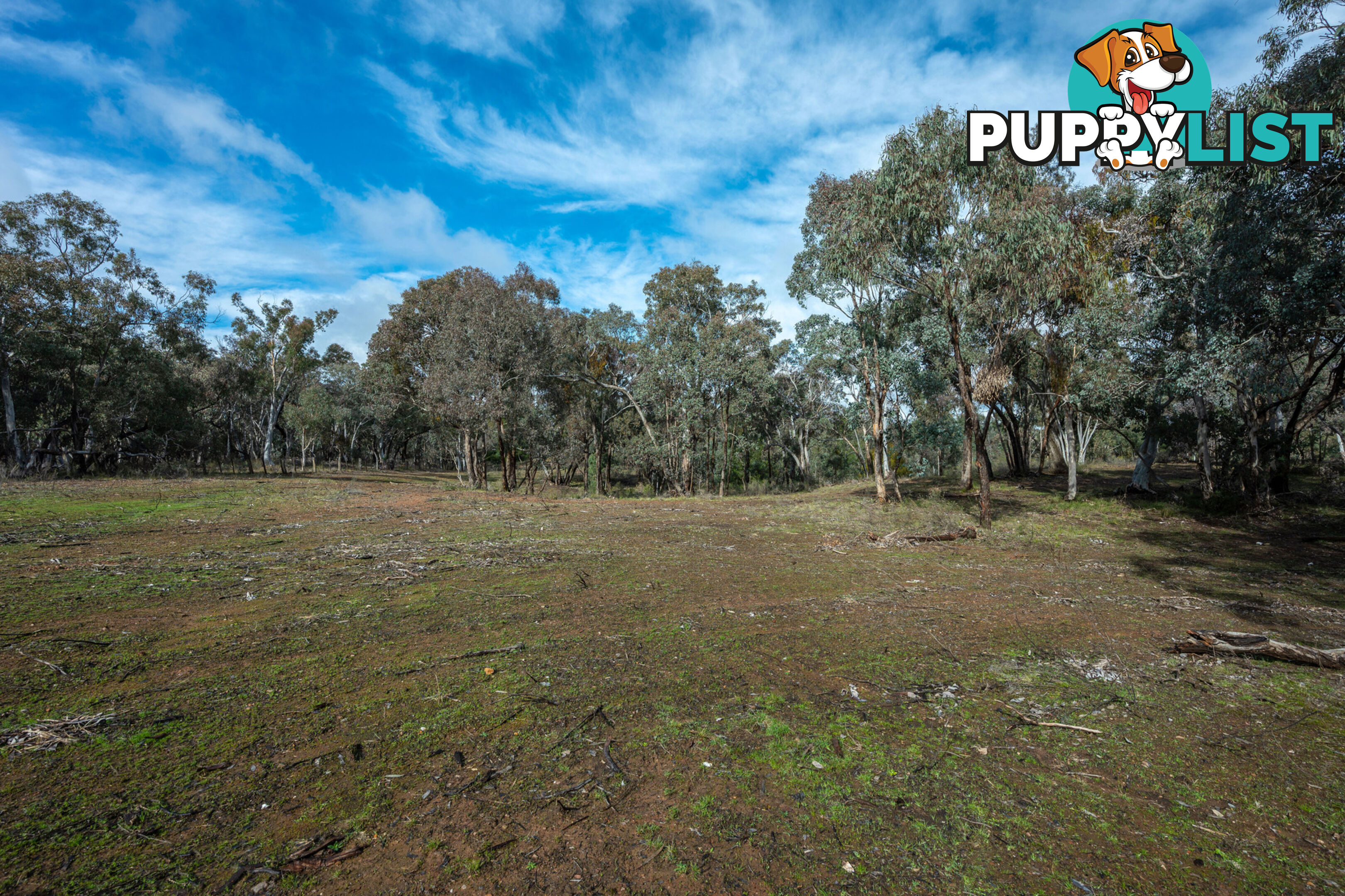 Thunder Ridge 3361 Hill End Road Hargraves NSW 2850