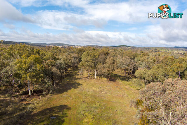 Thunder Ridge 3361 Hill End Road Hargraves NSW 2850