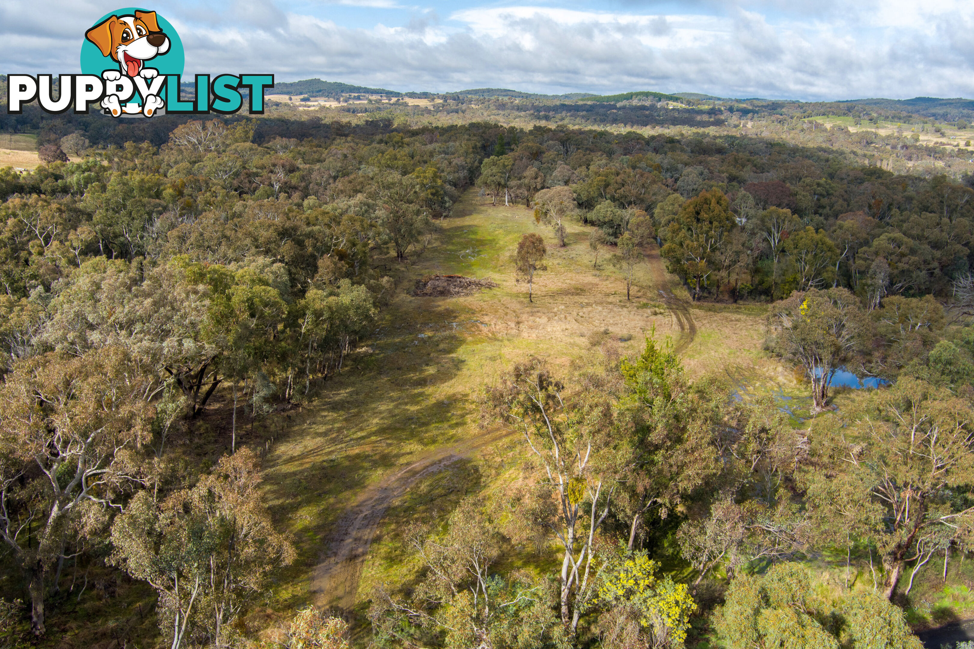 Thunder Ridge 3361 Hill End Road Hargraves NSW 2850