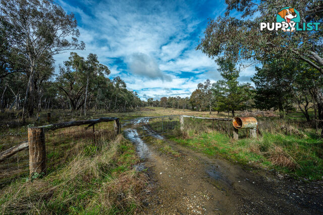 Thunder Ridge 3361 Hill End Road Hargraves NSW 2850