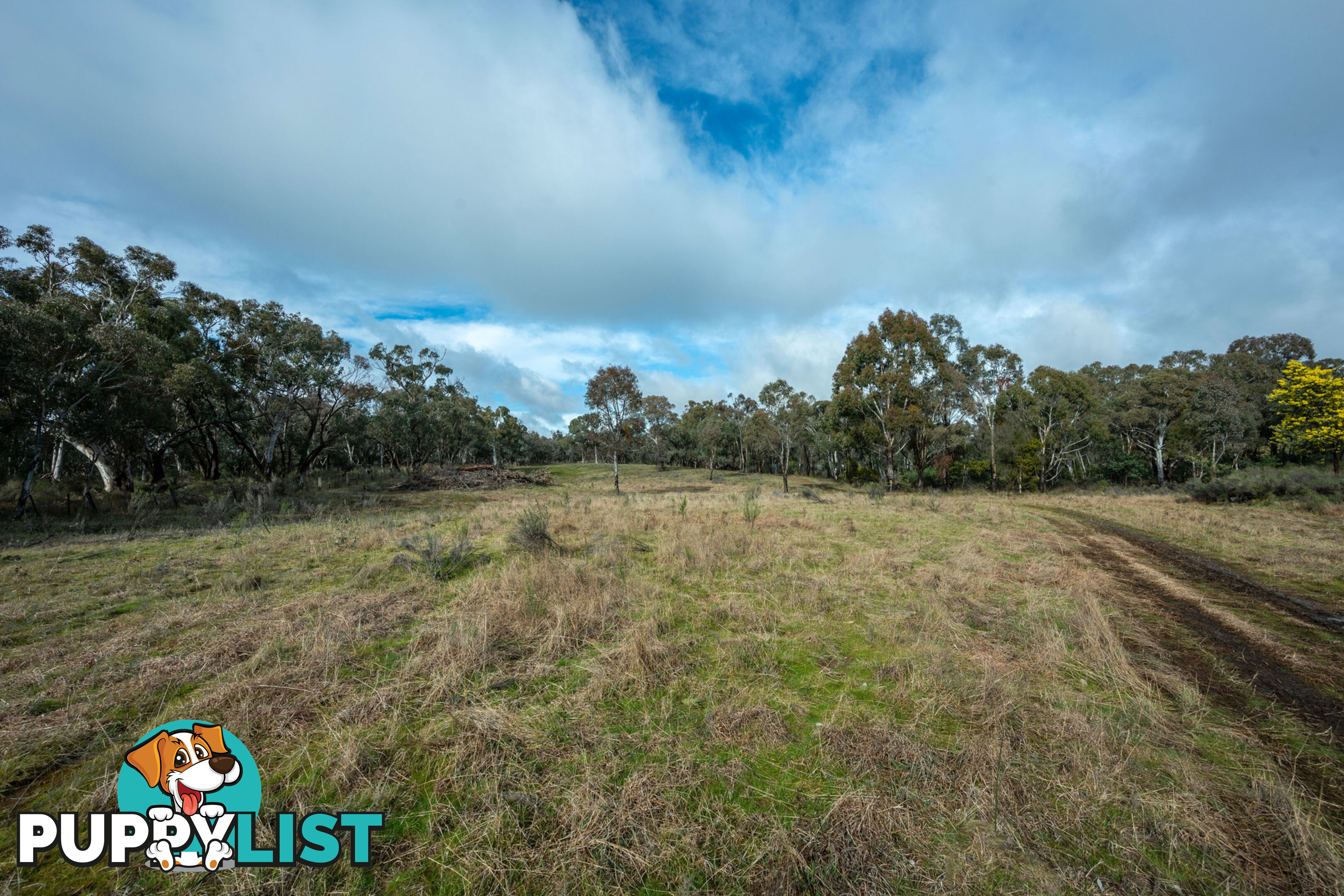 Thunder Ridge 3361 Hill End Road Hargraves NSW 2850