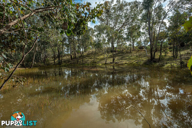 Thunder Ridge 3361 Hill End Road Hargraves NSW 2850