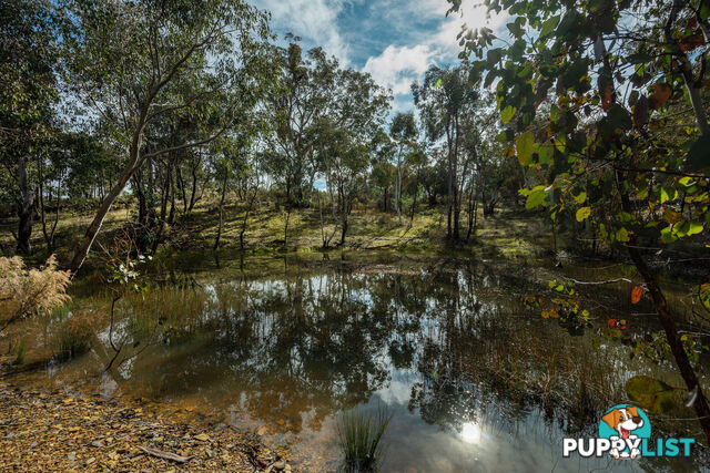 Thunder Ridge 3361 Hill End Road Hargraves NSW 2850