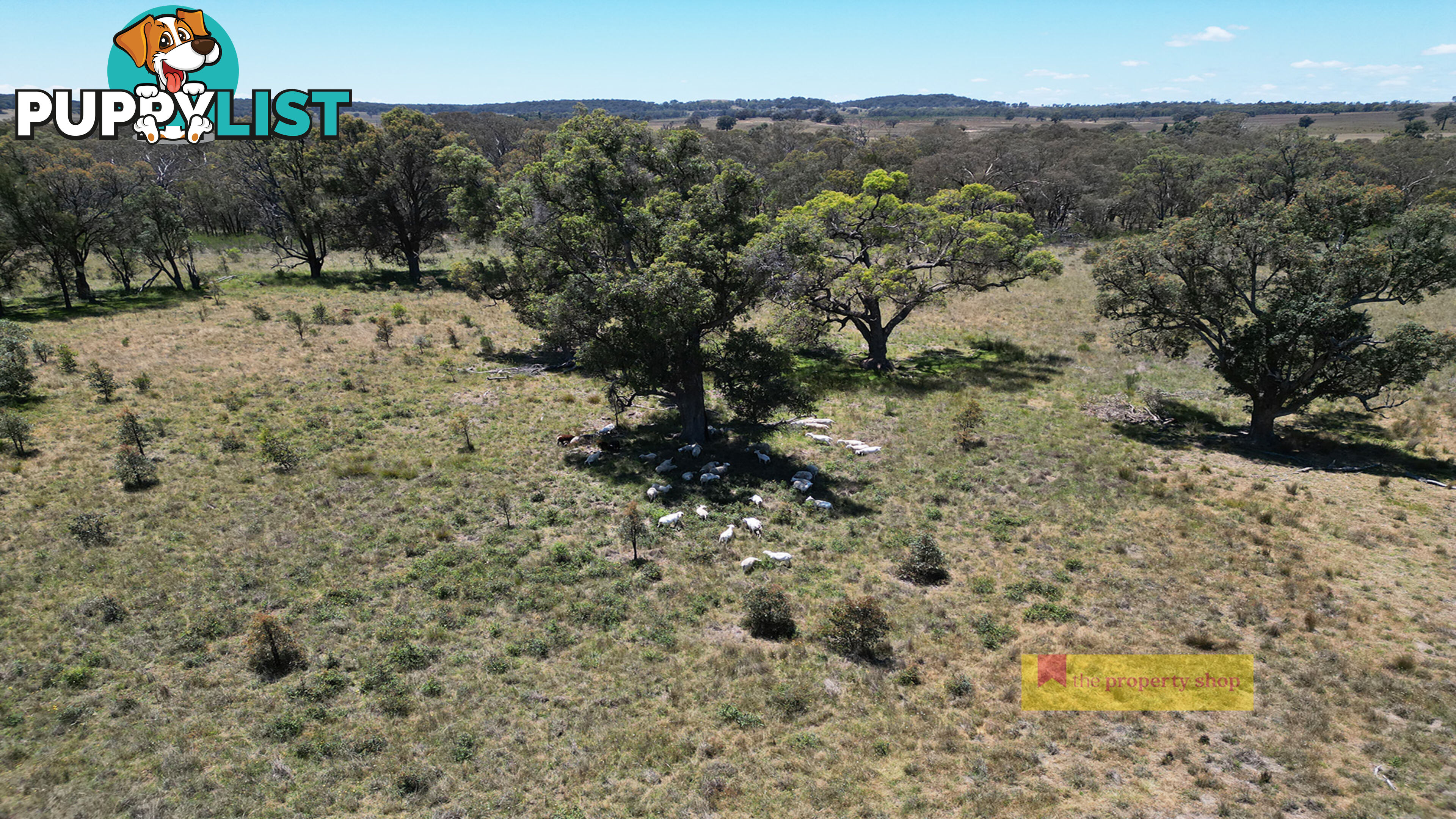 2/1921 Barneys Reef Road Gulgong NSW 2852