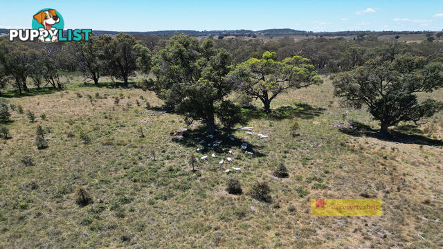 2/1921 Barneys Reef Road Gulgong NSW 2852