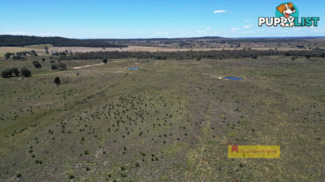 2/1921 Barneys Reef Road Gulgong NSW 2852