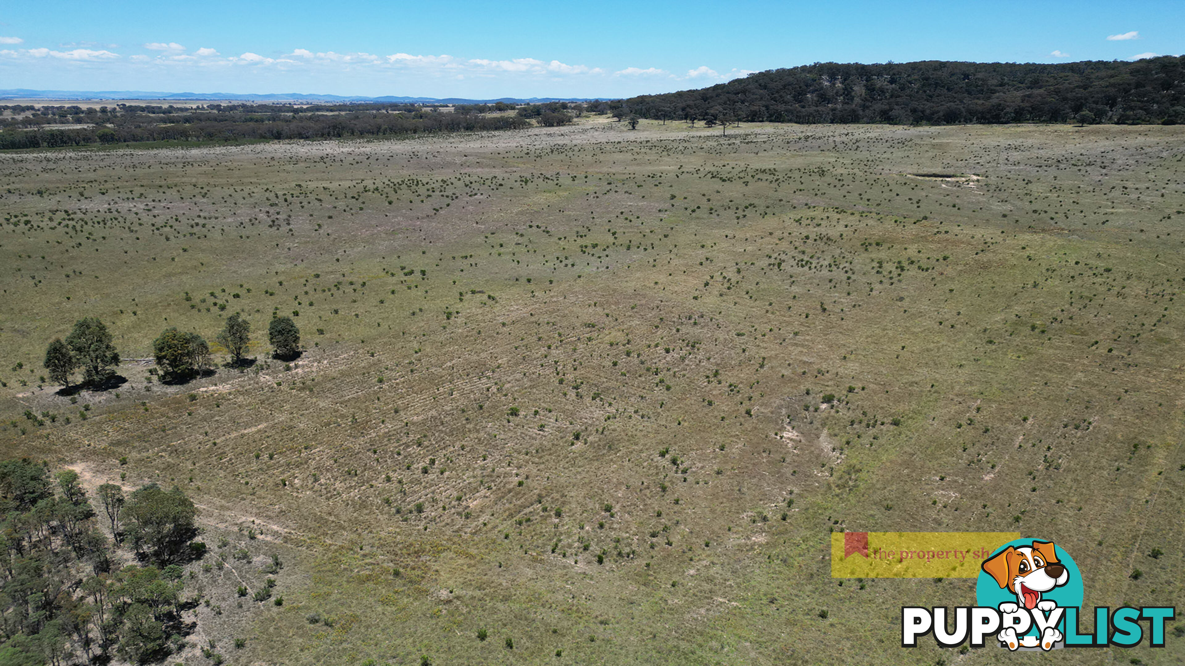 2/1921 Barneys Reef Road Gulgong NSW 2852