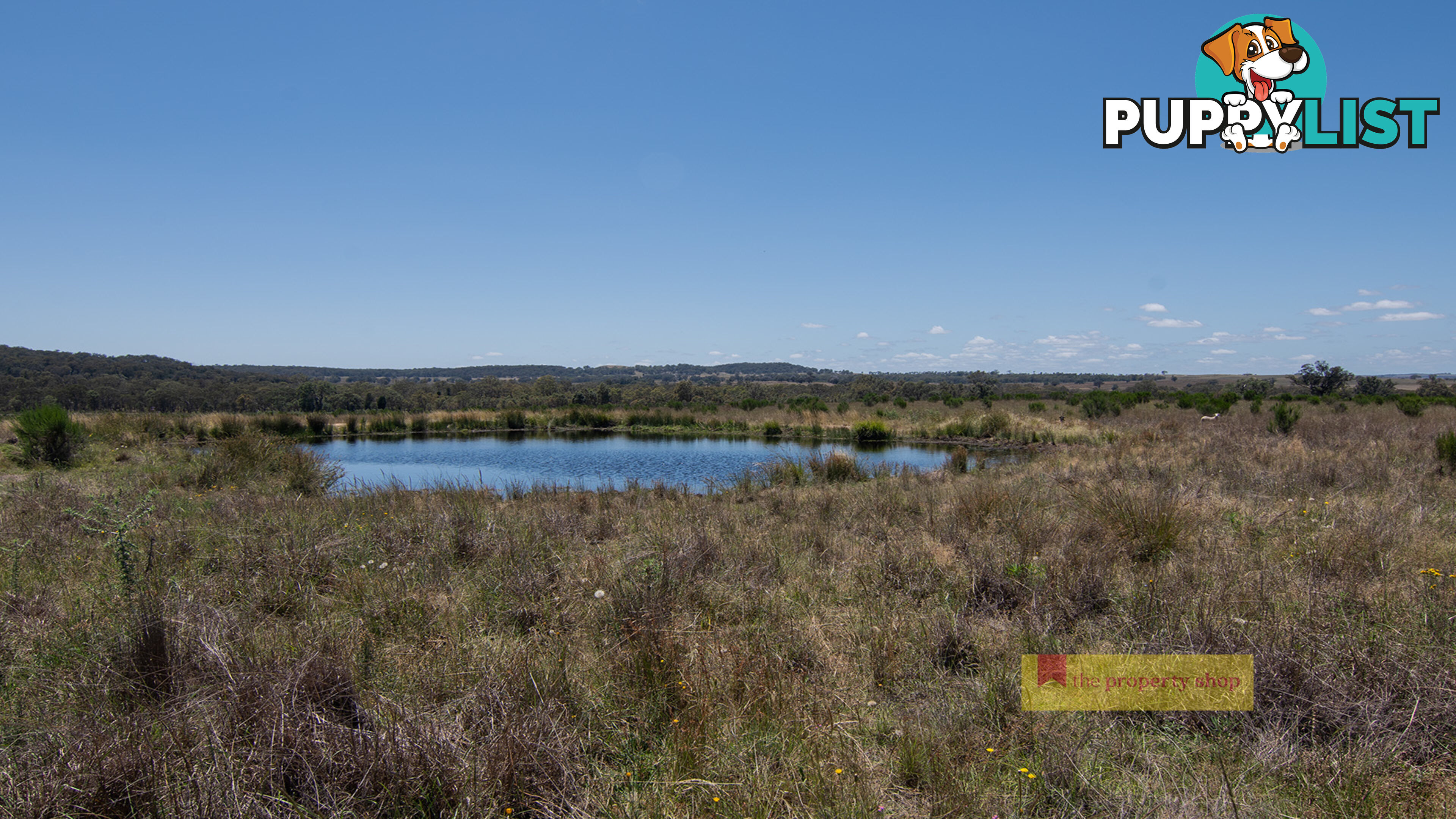 2/1921 Barneys Reef Road Gulgong NSW 2852