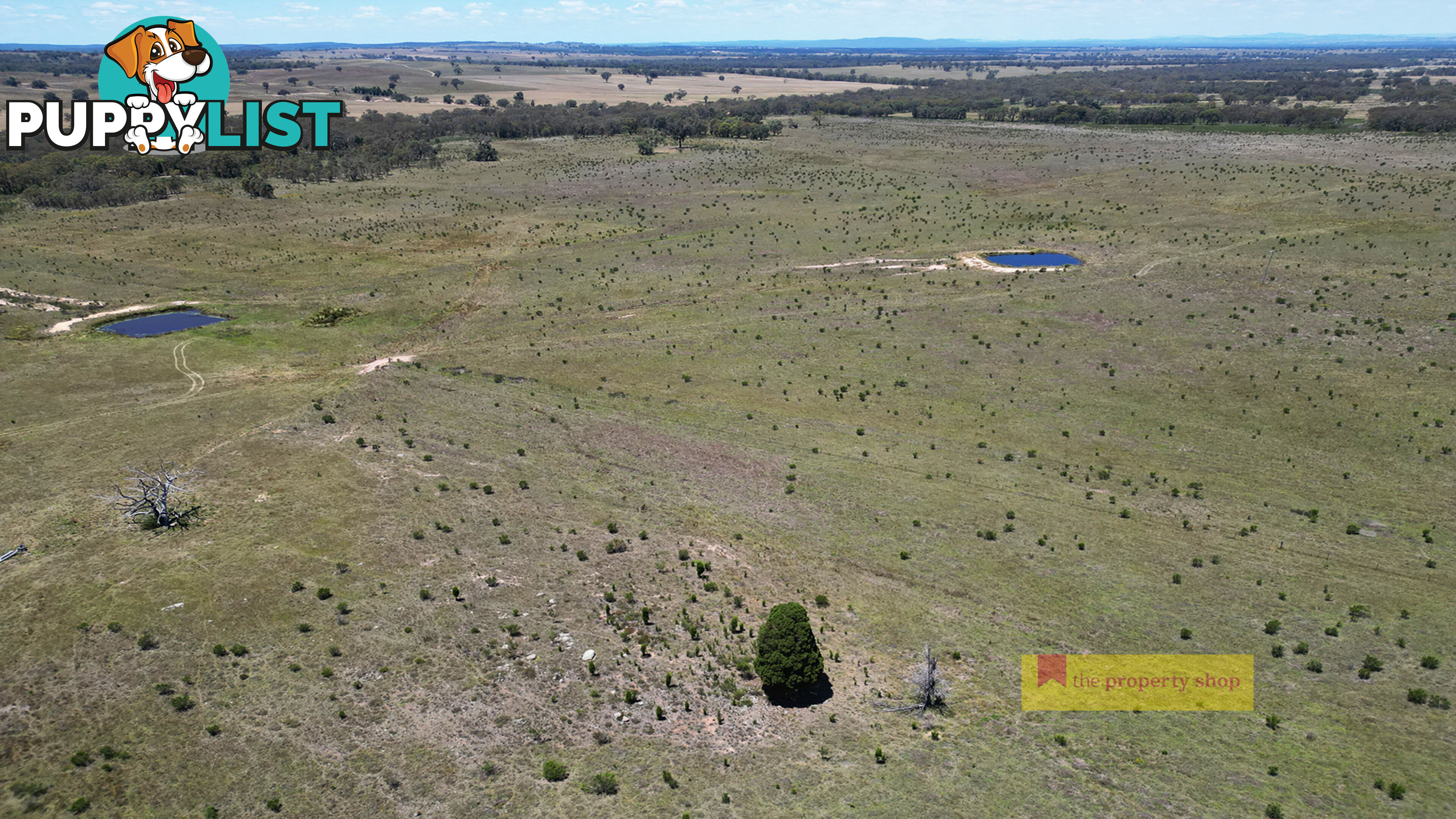 2/1921 Barneys Reef Road Gulgong NSW 2852