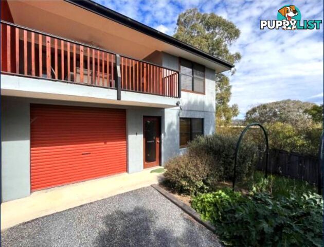 16B Buchanan Street Kandos NSW 2848