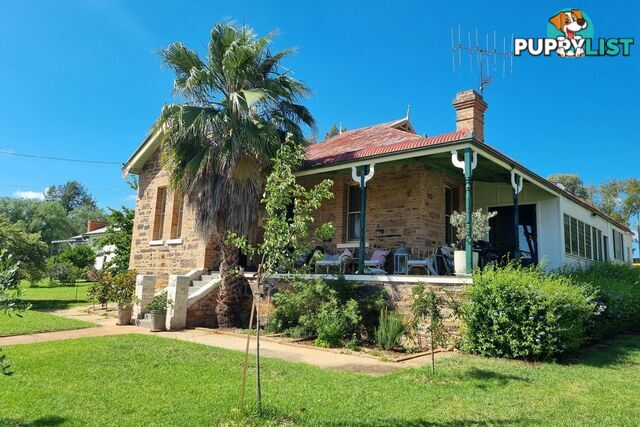 77 Mayne Street Gulgong NSW 2852