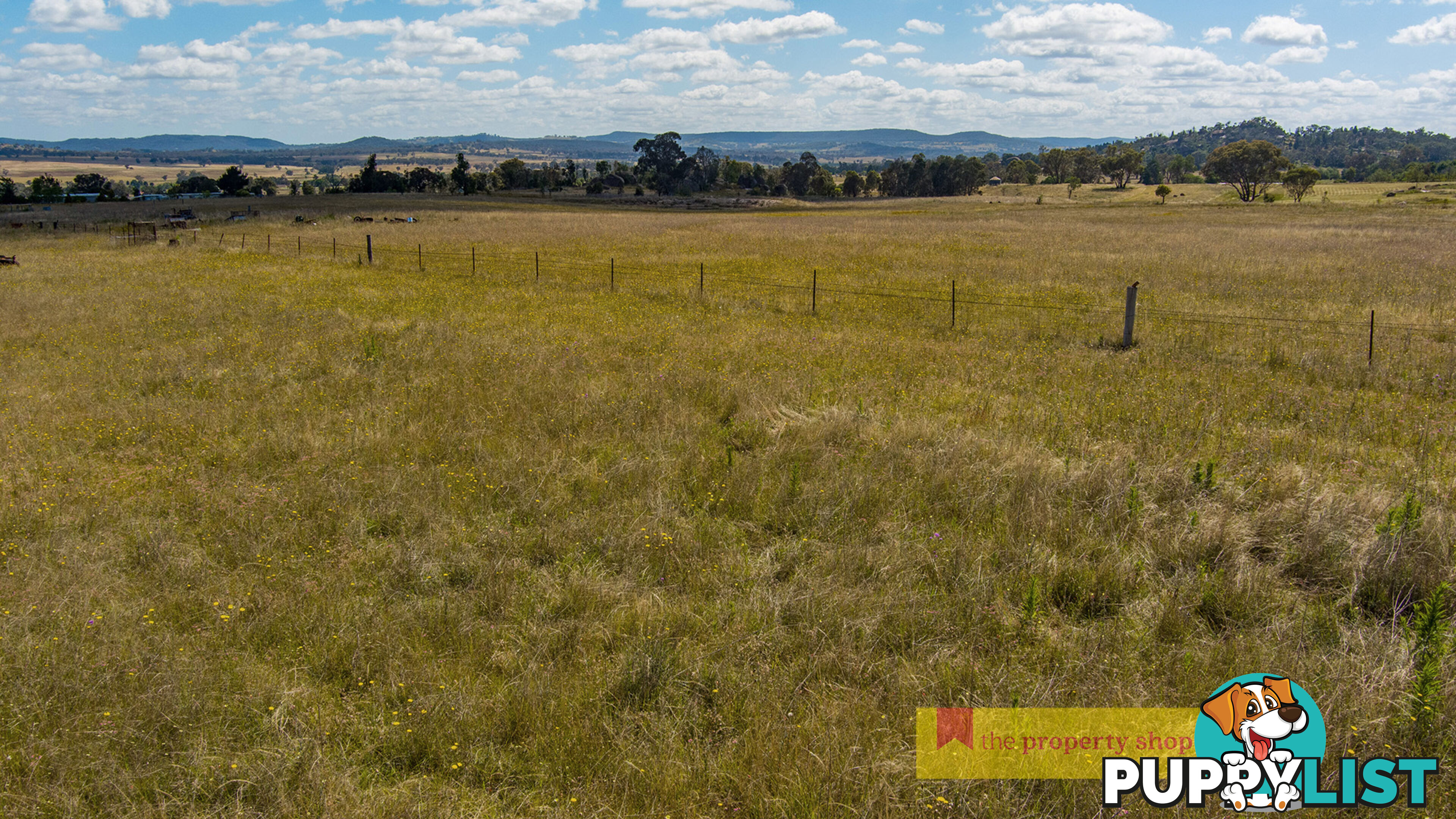 1040 Black Springs Road Mudgee NSW 2850