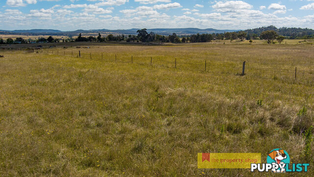 1040 Black Springs Road Mudgee NSW 2850