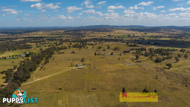 1040 Black Springs Road Mudgee NSW 2850