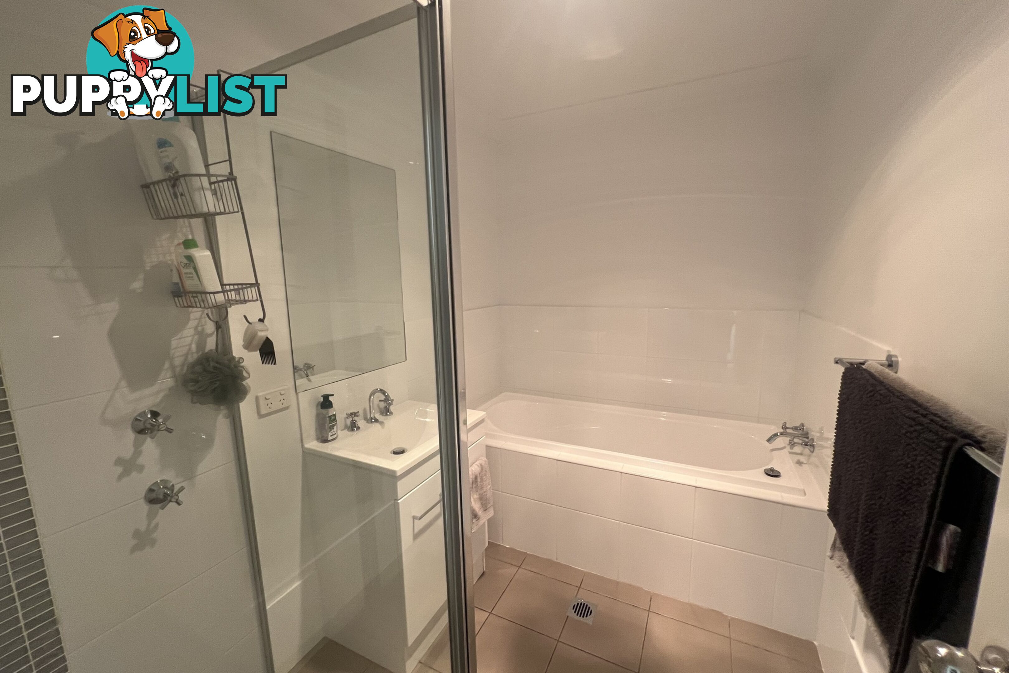 3a Charles Lester Place Mudgee NSW 2850
