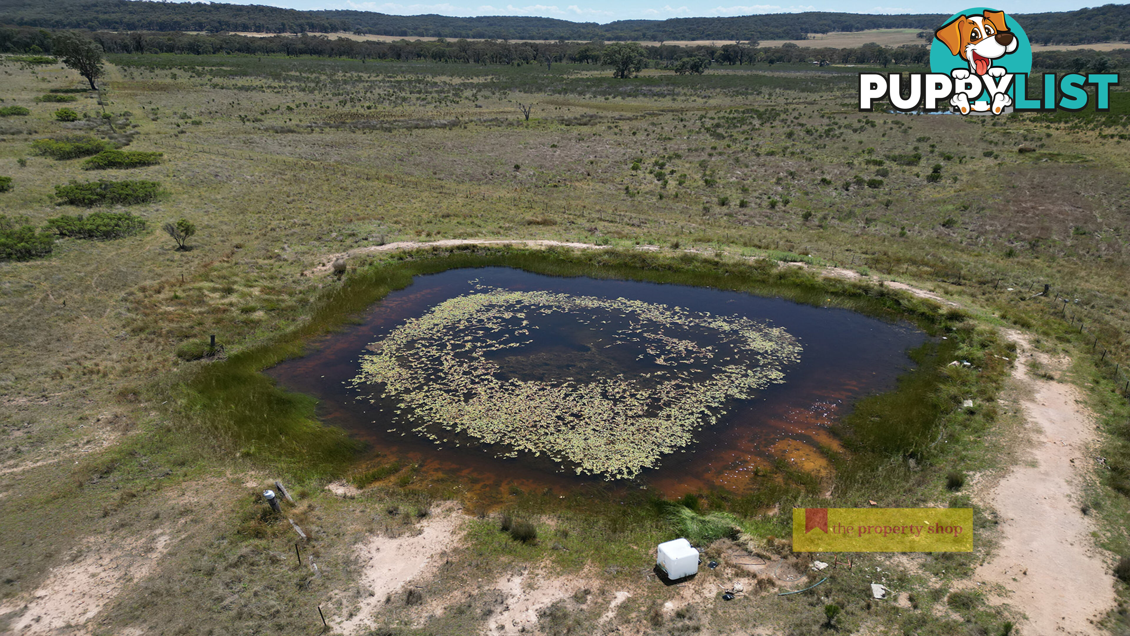 1/1921 Barneys Reef Road Gulgong NSW 2852