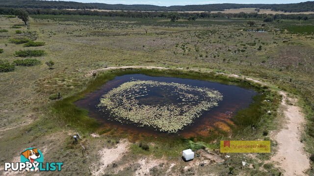 1/1921 Barneys Reef Road Gulgong NSW 2852