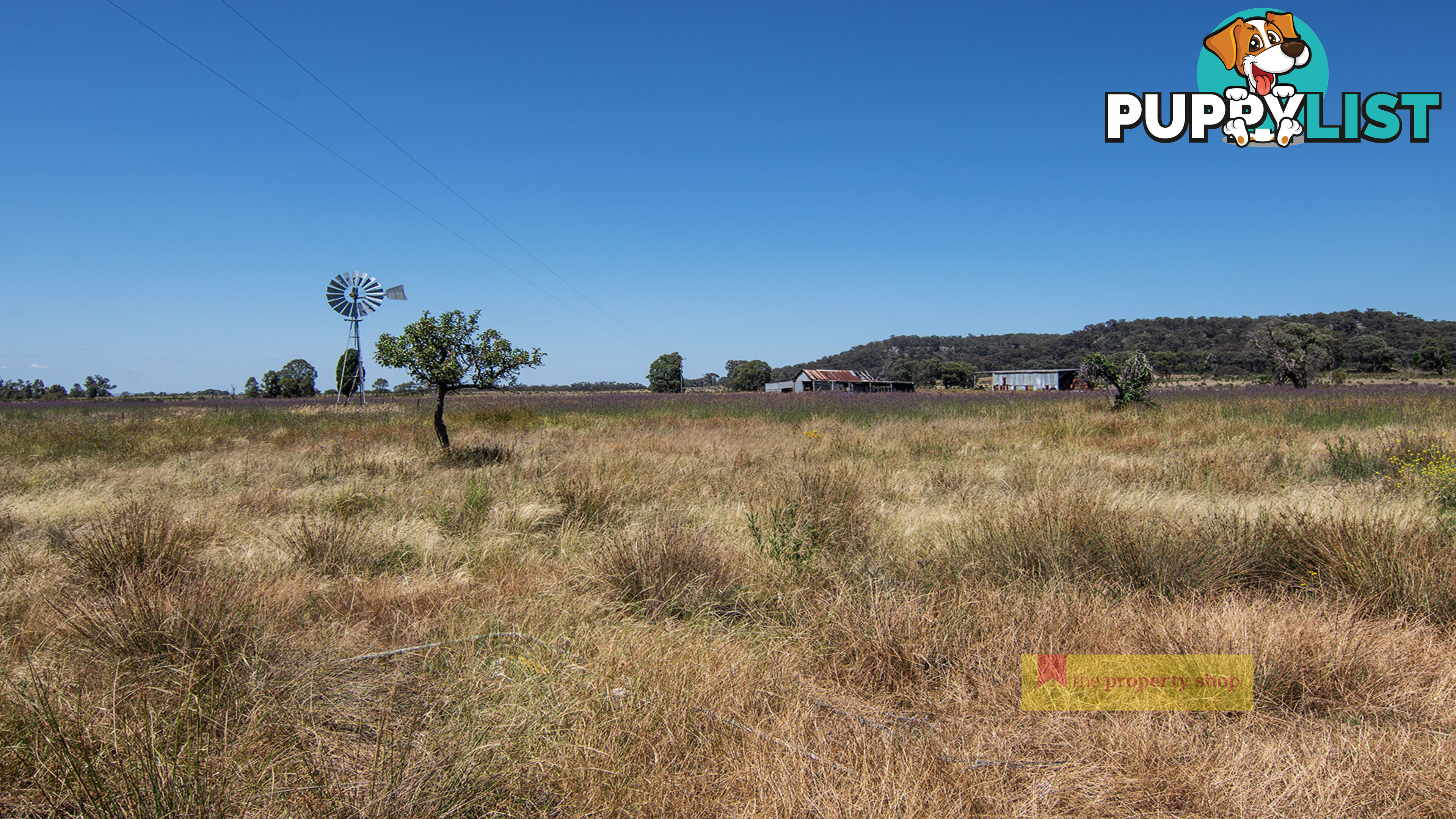 1/1921 Barneys Reef Road Gulgong NSW 2852