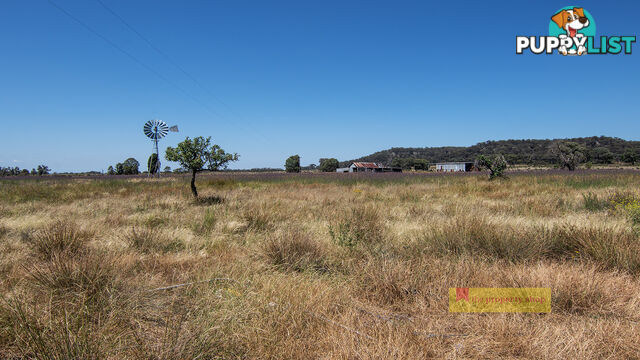 1/1921 Barneys Reef Road Gulgong NSW 2852