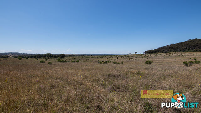 1/1921 Barneys Reef Road Gulgong NSW 2852