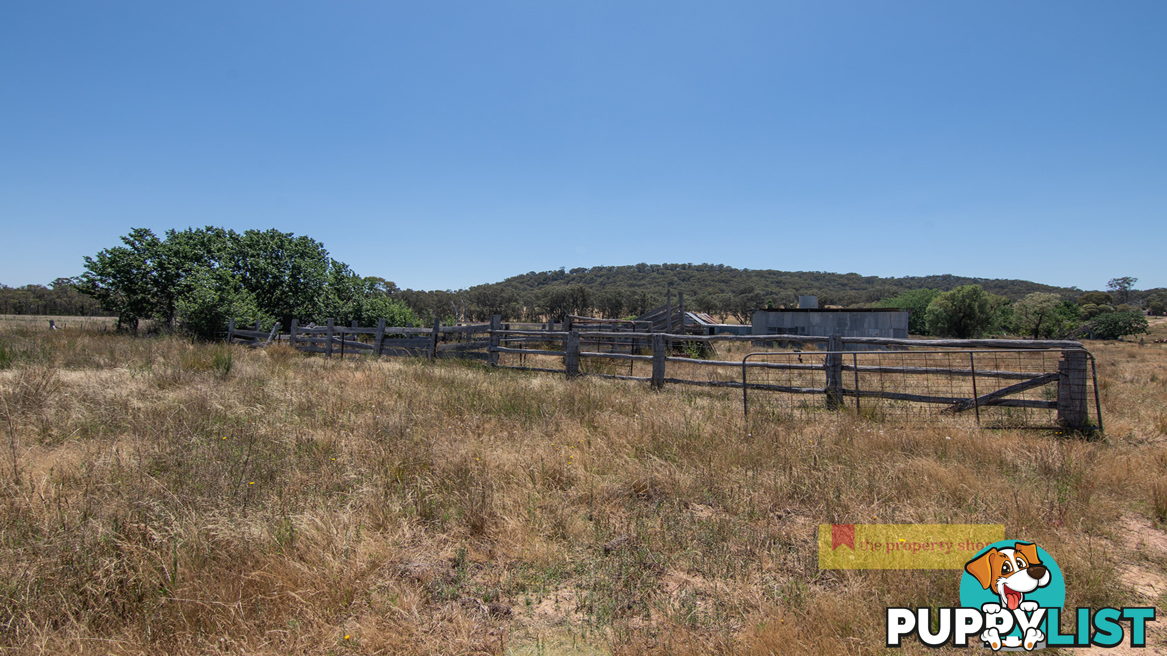 1/1921 Barneys Reef Road Gulgong NSW 2852