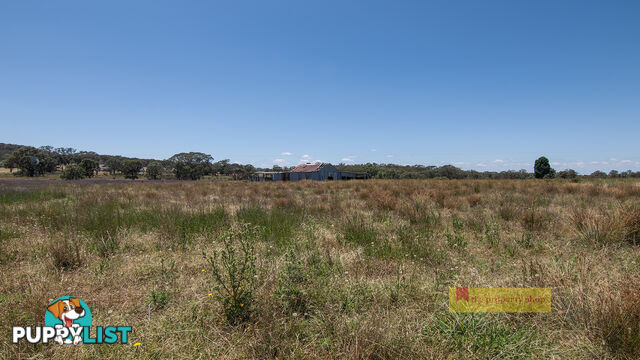 1/1921 Barneys Reef Road Gulgong NSW 2852