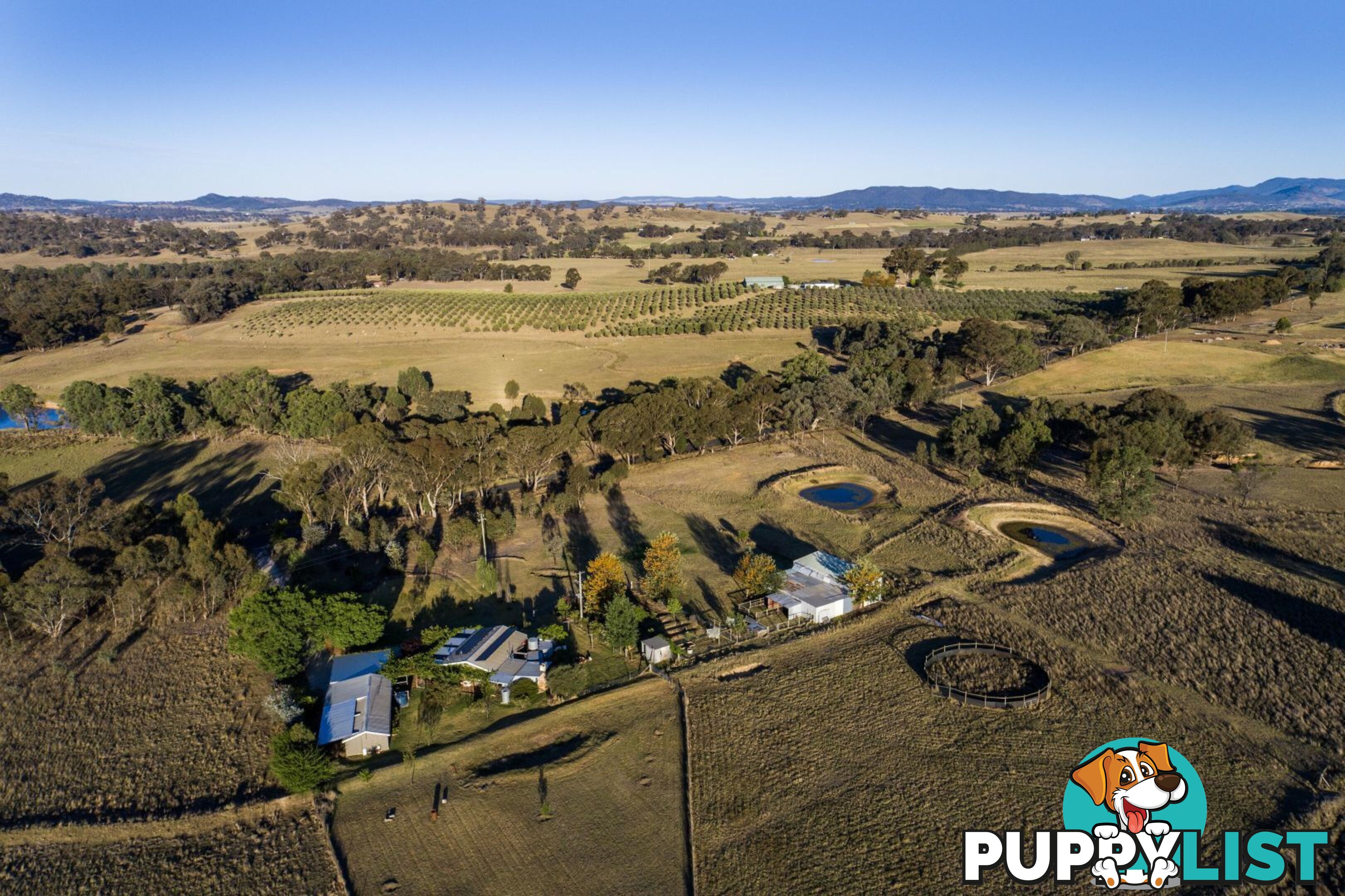 255 Lower Piambong Road Mudgee NSW 2850